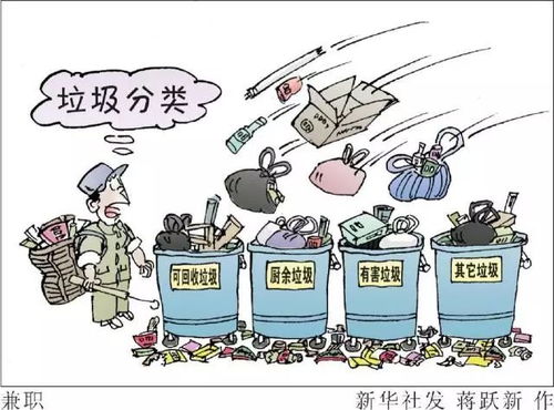 垃圾分类 我家先行 垃圾分类的小知识必须要get